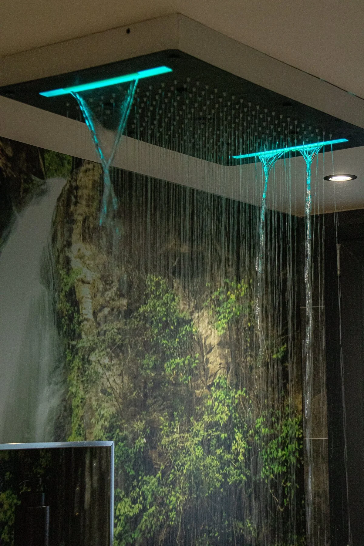 Douche sensorielle moderne